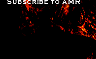 AMR Art market Research